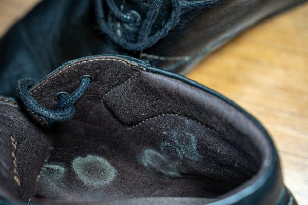 schimmel in schoenen verwijderen